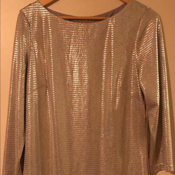 Silver Metallic Dress - Picture 3 of 6